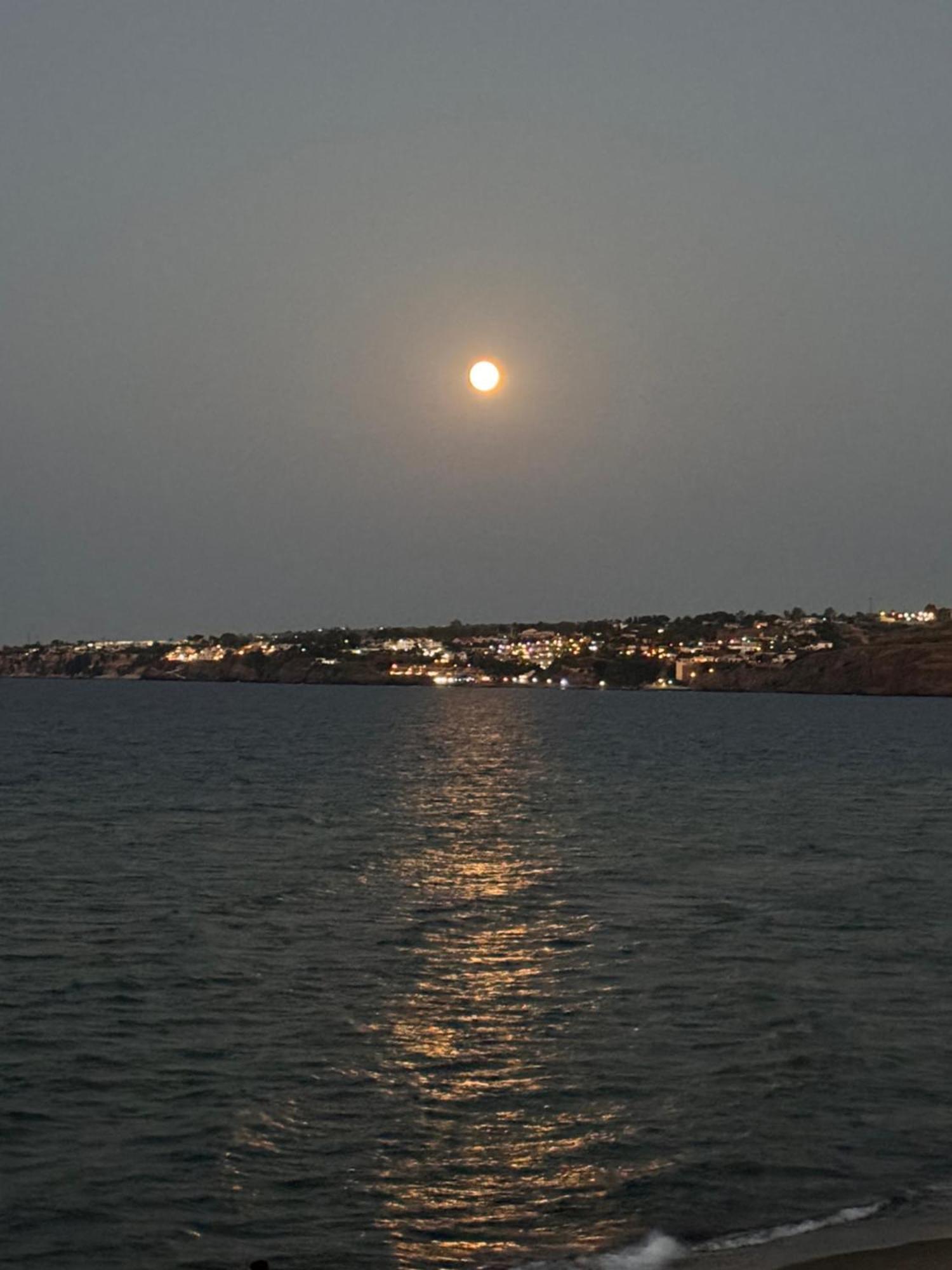 Paradiso Fronte Mare Villa Agnone Bagni Eksteriør bilde