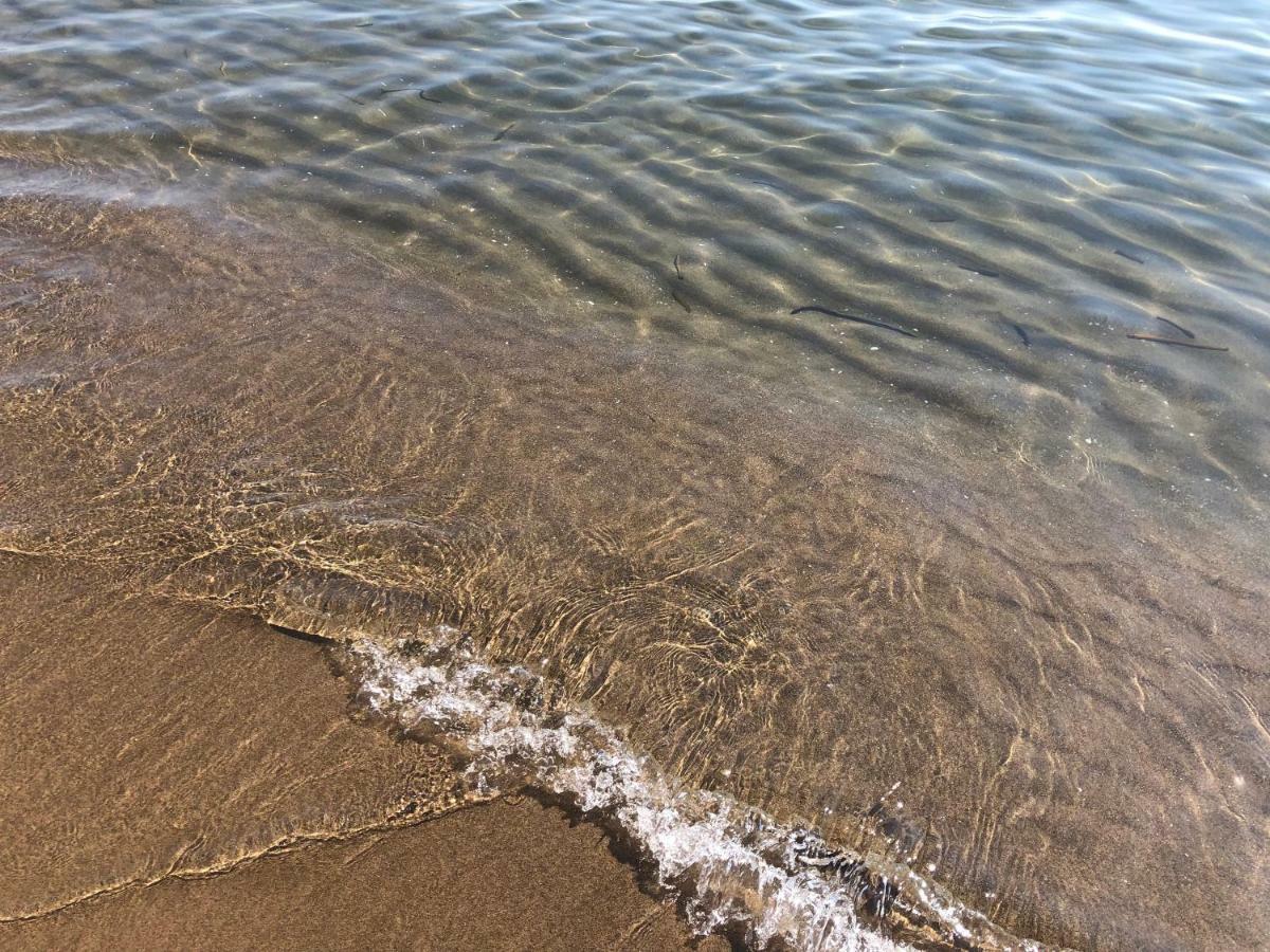 Paradiso Fronte Mare Villa Agnone Bagni Eksteriør bilde