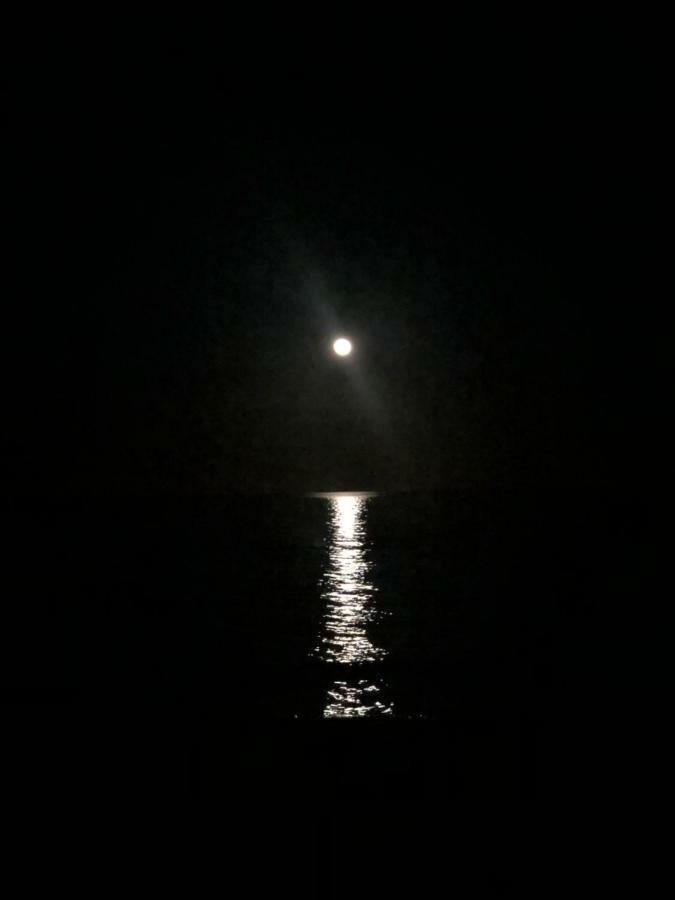 Paradiso Fronte Mare Villa Agnone Bagni Eksteriør bilde